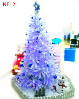 christmas tree,gui qua ve viet nam, qua giang sinh, vietnam flower, flowers, giang sinh, flowers,